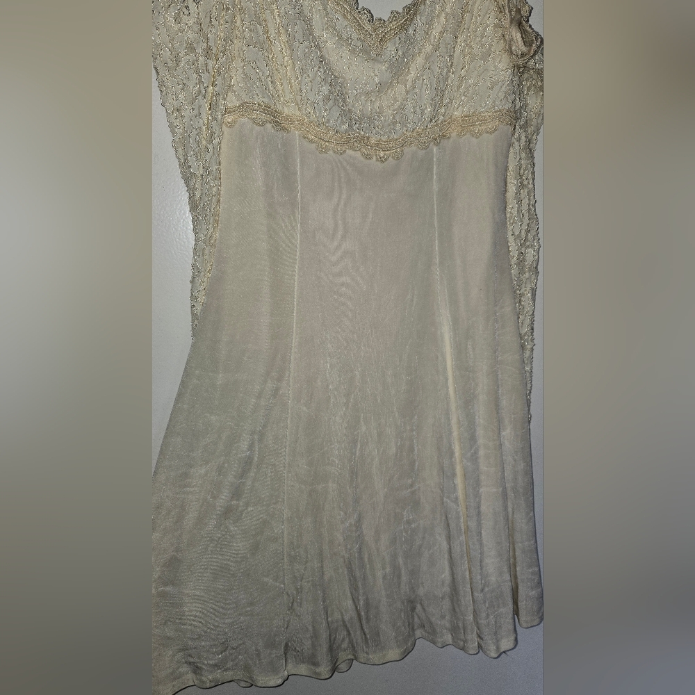 Vintage Lace Stretch Dress - Picture 4 of 6